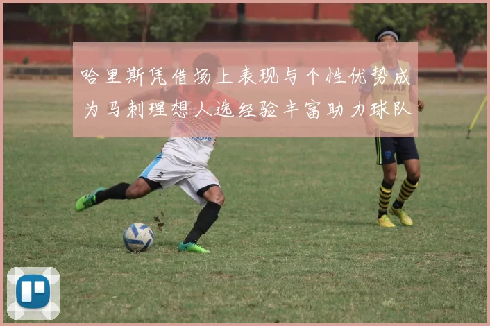 哈里斯凭借场上表现与个性优势成为马刺理想人选经验丰富助力球队发展
