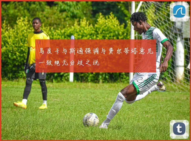 乌度卡与斯通强调与费尔蒂塔意见一致绝无分歧之说